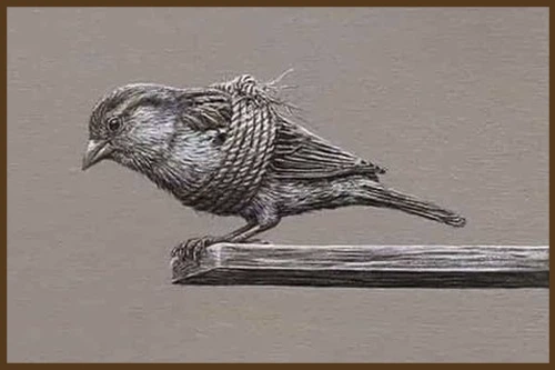 Մեղքի բարդույթ