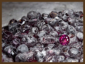 КРОВЬ НЕВИННЫХ