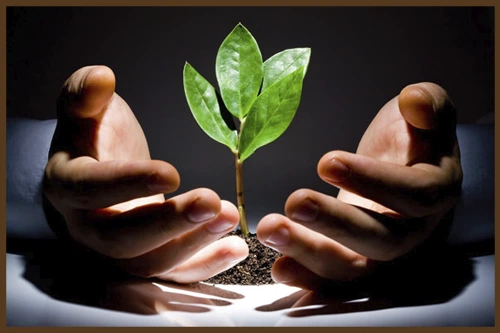 Притча «Авария электросетей»