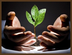 Առակ «Վթար էլեկտրոցանցերում»