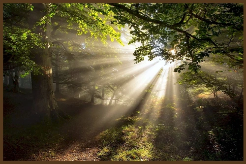 ЛЕСОВИК И СВЕСЛАВА