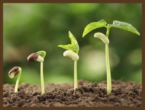 Притча «Быть женой генерала»