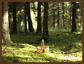 Առակ «Երկու սունկ հավաքող»